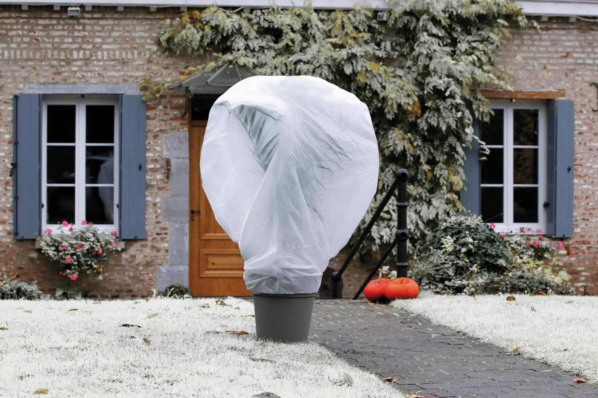 Nortène - Voile d'hivernage Wintertex L. 5 x l.2 m 30 g/m² - Nortène