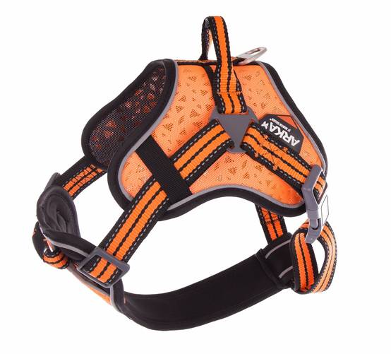 Martin Sellier / Arka Haok - Harnais multisport pour chien – ARKA DOG