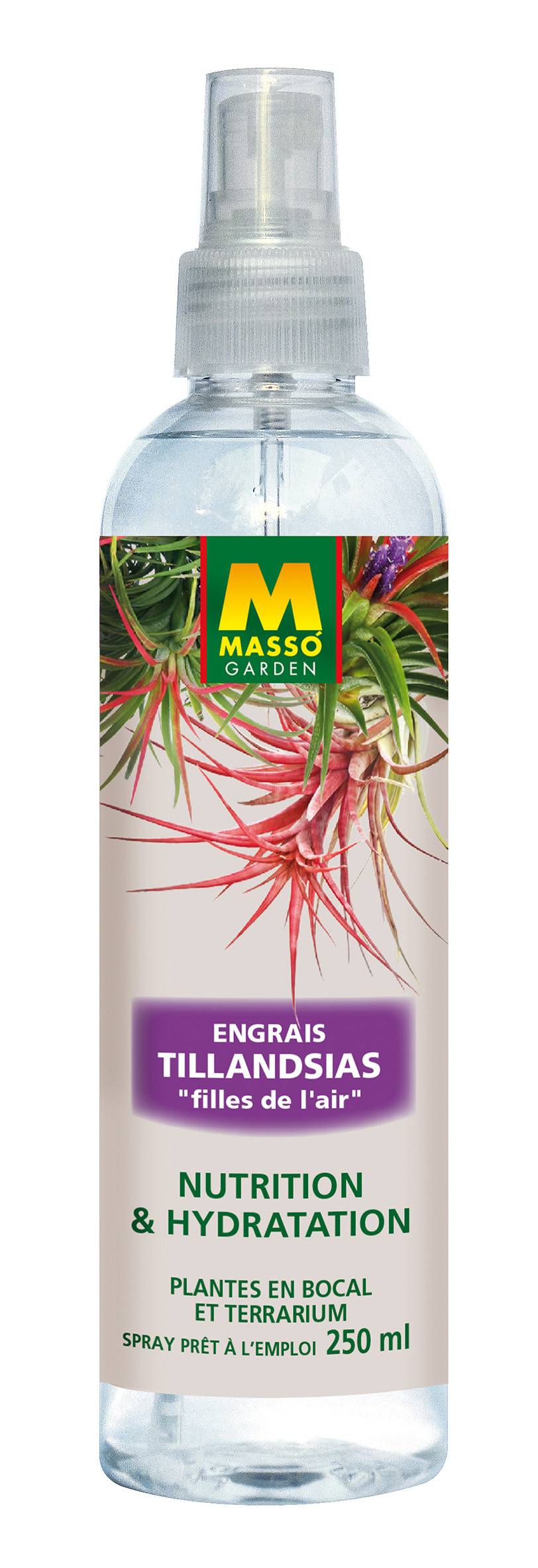 Engrais Foliaire Tillandsias Spray 250 ml - MASSÓ GARDEN - Image 2