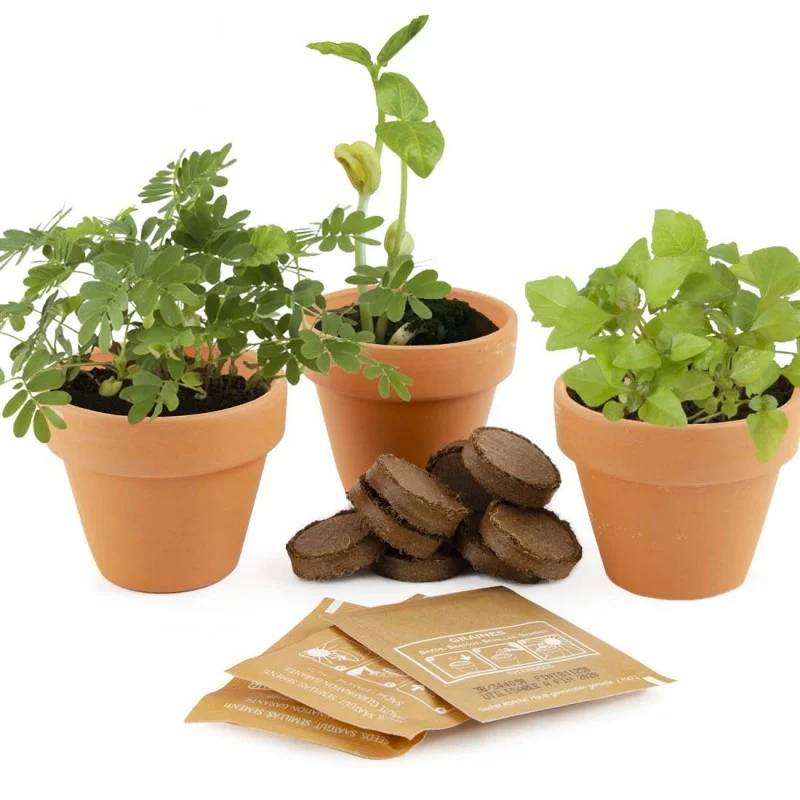 Radis et Capucine - Trio 3 pots plantes magiques - Radis et Capucine - Image 5