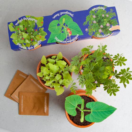 Radis et Capucine - Trio 3 pots plantes magiques - Radis et Capucine - Image 11