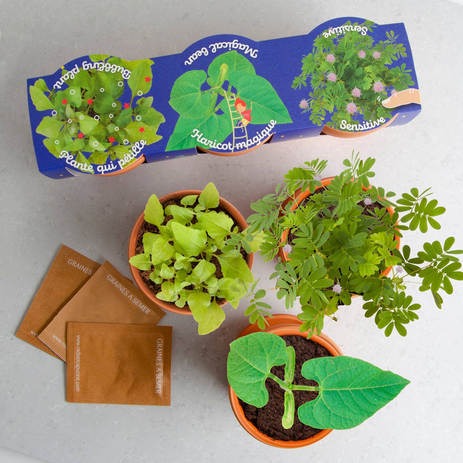 Radis et Capucine - Trio 3 pots plantes magiques - Radis et Capucine - Image 11