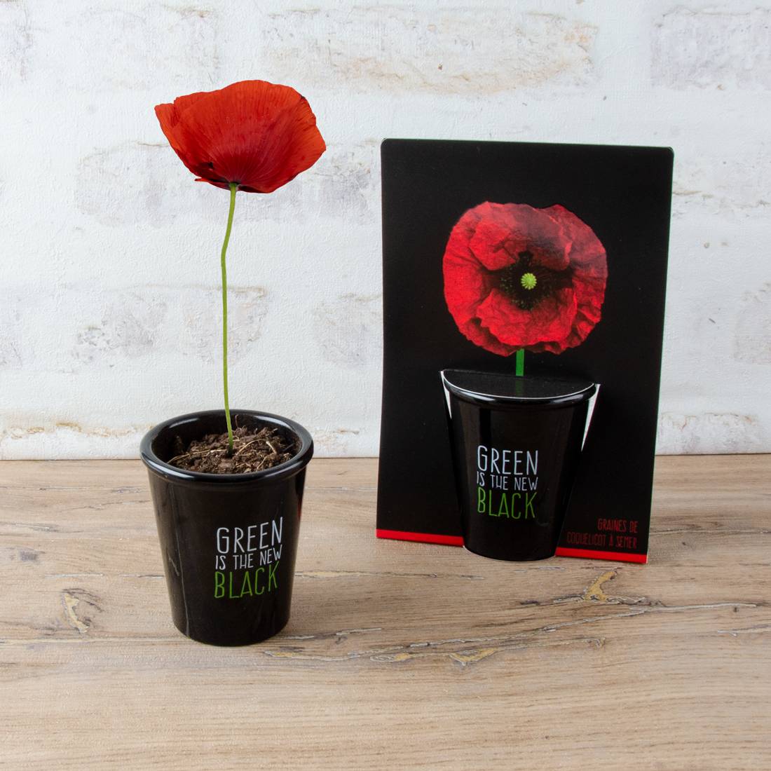 Kit de Semis Coquelicot - RADIS ET CAPUCINE - Image 2