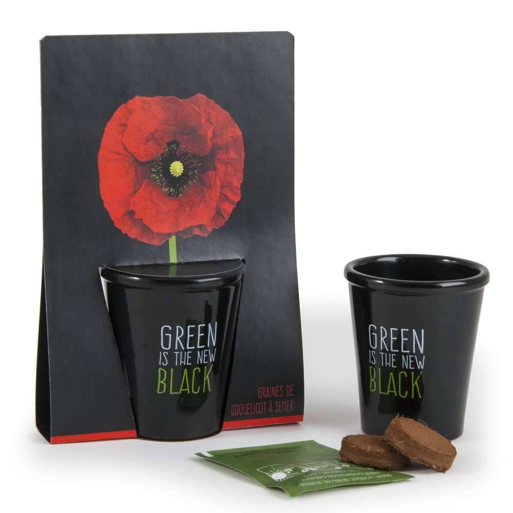 Kit de Semis Coquelicot - RADIS ET CAPUCINE - Image 4