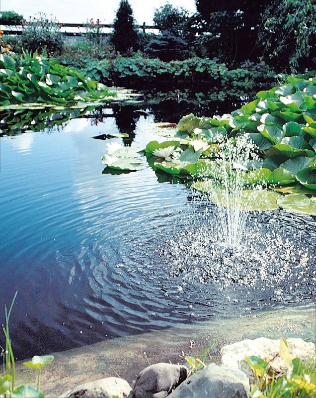 Ubbink - Filtration sous pression pour bassin de jardin Biopressure II 3000 PlusSet - Ubbink - Image 2