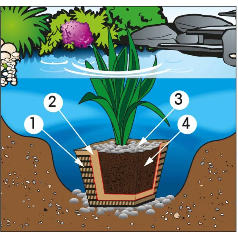 Ubbink - Terreau plantes aquatiques UBBINK - Image 4