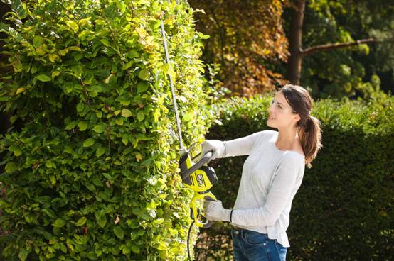 Ryobi - Taille-haies électrique 550 W L. 55 cm RHT5655RS - RYOBI - Image 3