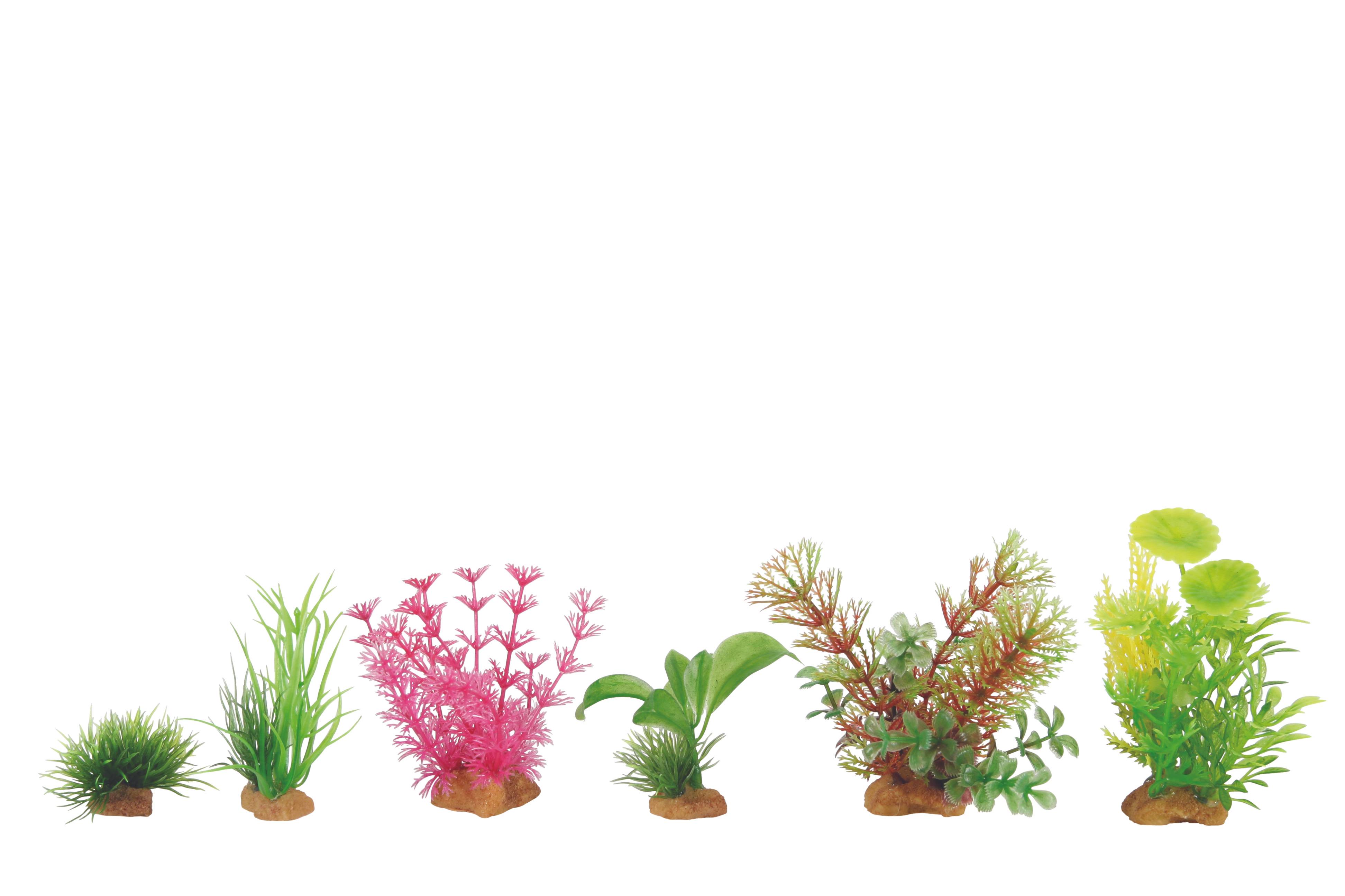 Zolux - Kit de plantes artificielles pour aquarium - ZOLUX - Image 1
