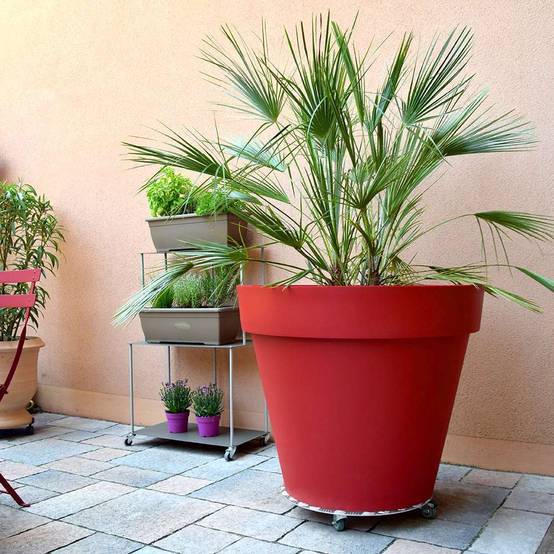 Louis Moulin - Roule-plantes Aluminium Alu Rond Ø 50 cm - LOUIS MOULIN - Image 6