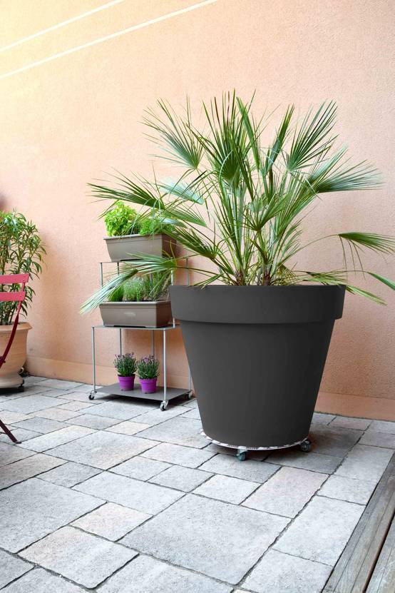 Louis Moulin - Roule-plantes Aluminium Alu Rond Ø 50 cm - LOUIS MOULIN - Image 3