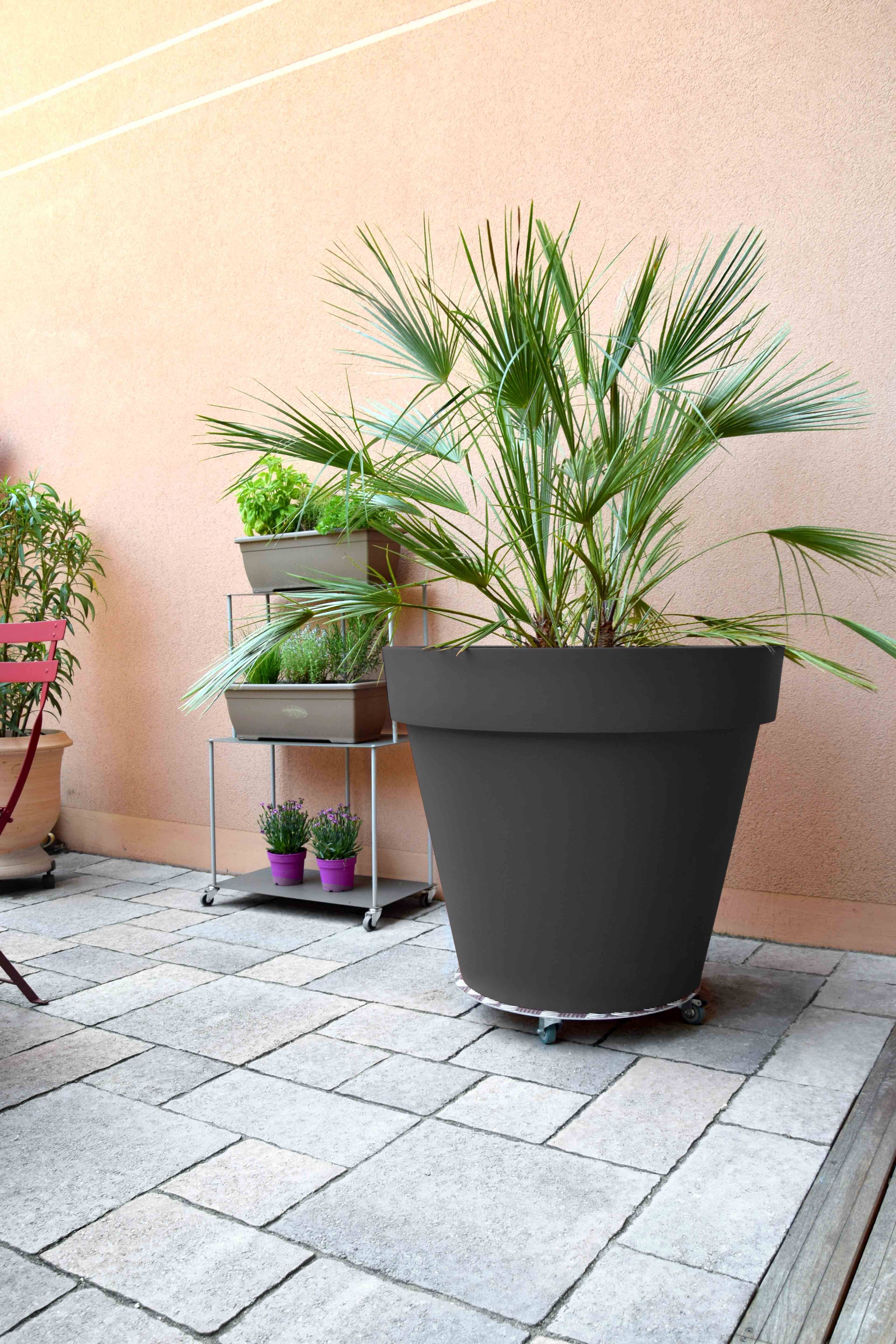 Louis Moulin - Roule-plantes Aluminium Alu Rond Ø 50 cm - LOUIS MOULIN - Image 3