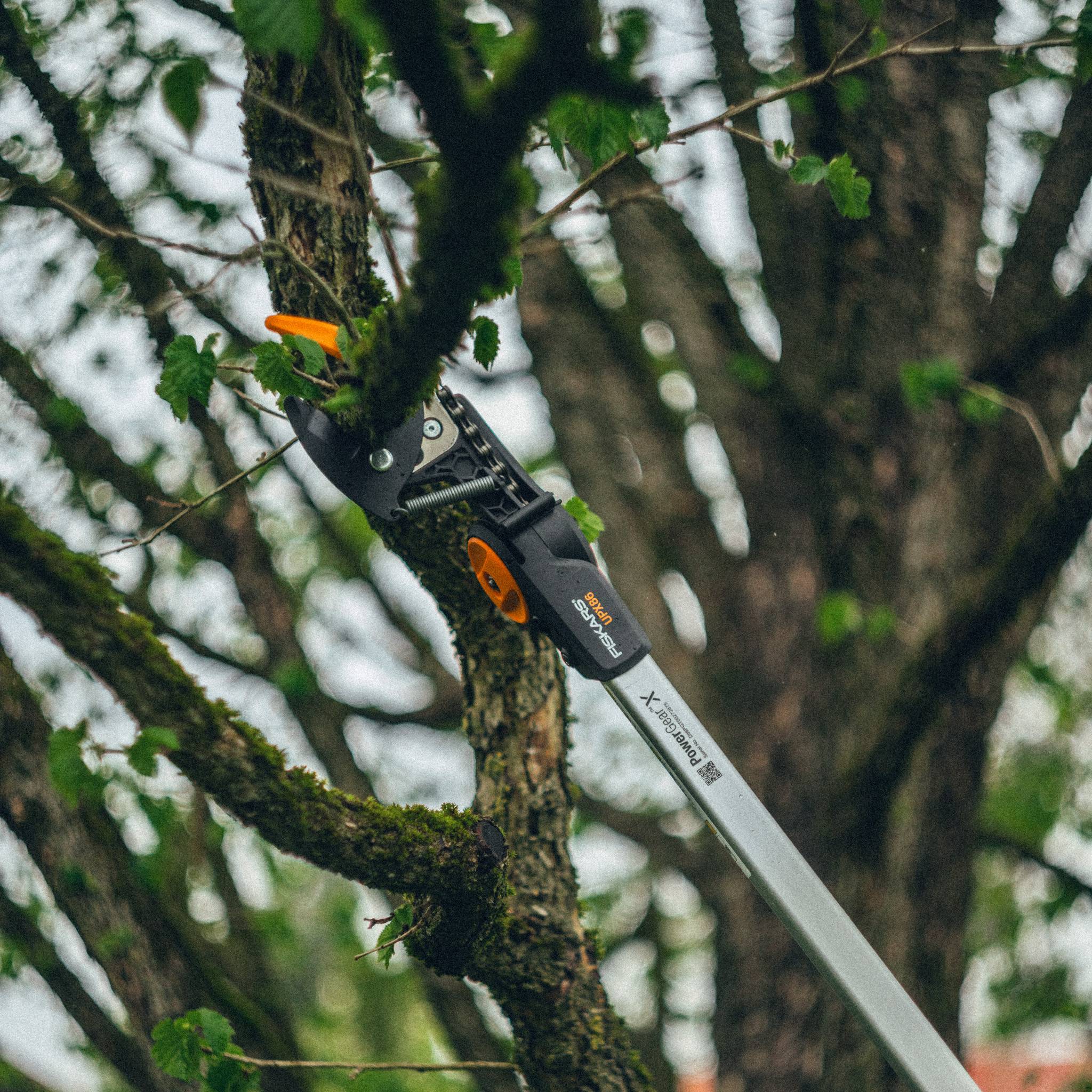 Fiskars - Coupe-branches télescopique Fiskars PowerGearTM X, (UPX86) - Fiskars - Image 4