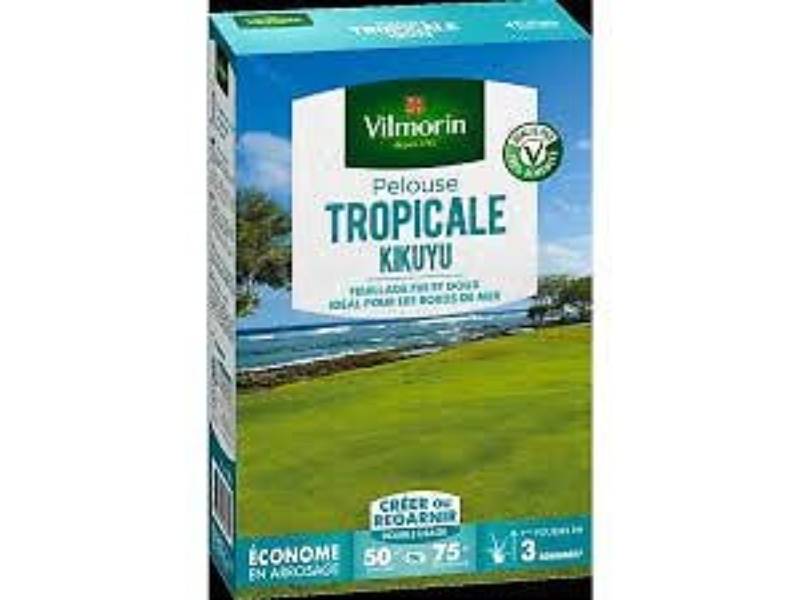 Vilmorin - Pelouse Tropicale Kikuyu 500 g - Vilmorin