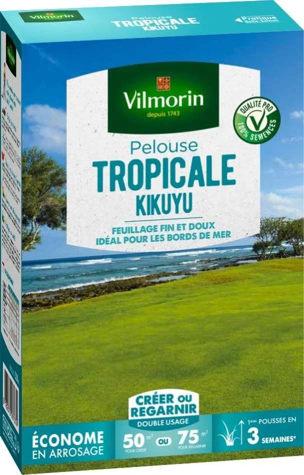 Vilmorin - Pelouse Tropicale Kikuyu 500 g - Vilmorin - Image 2