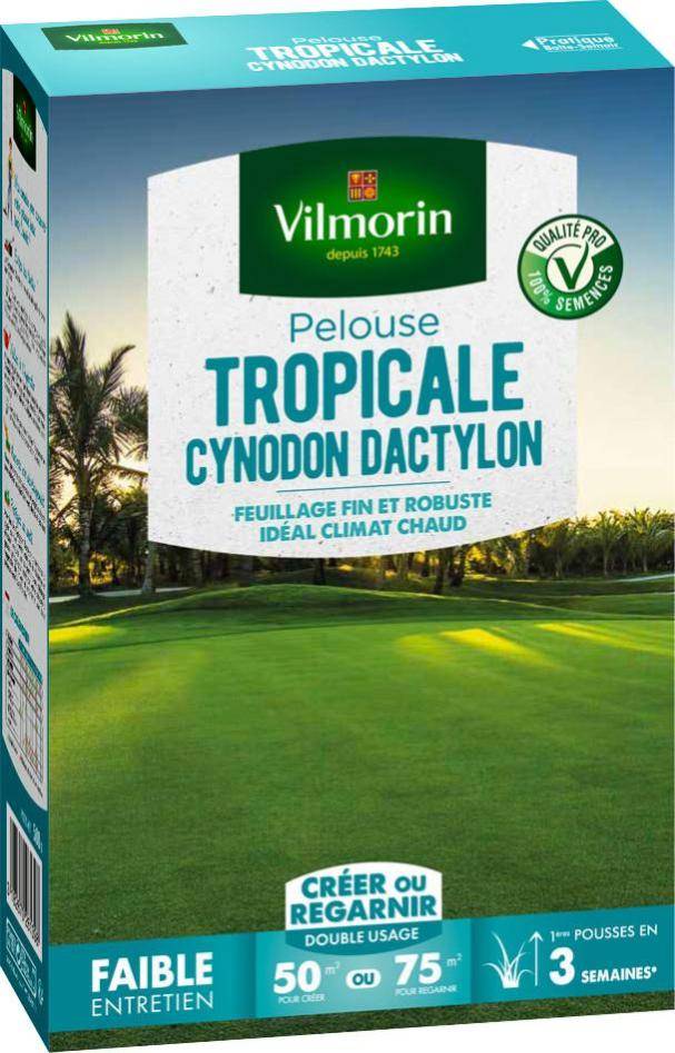 Vilmorin - Pelouse tropicale cynodon dactylon 500 g 50 m² - VILMORIN - Image 2