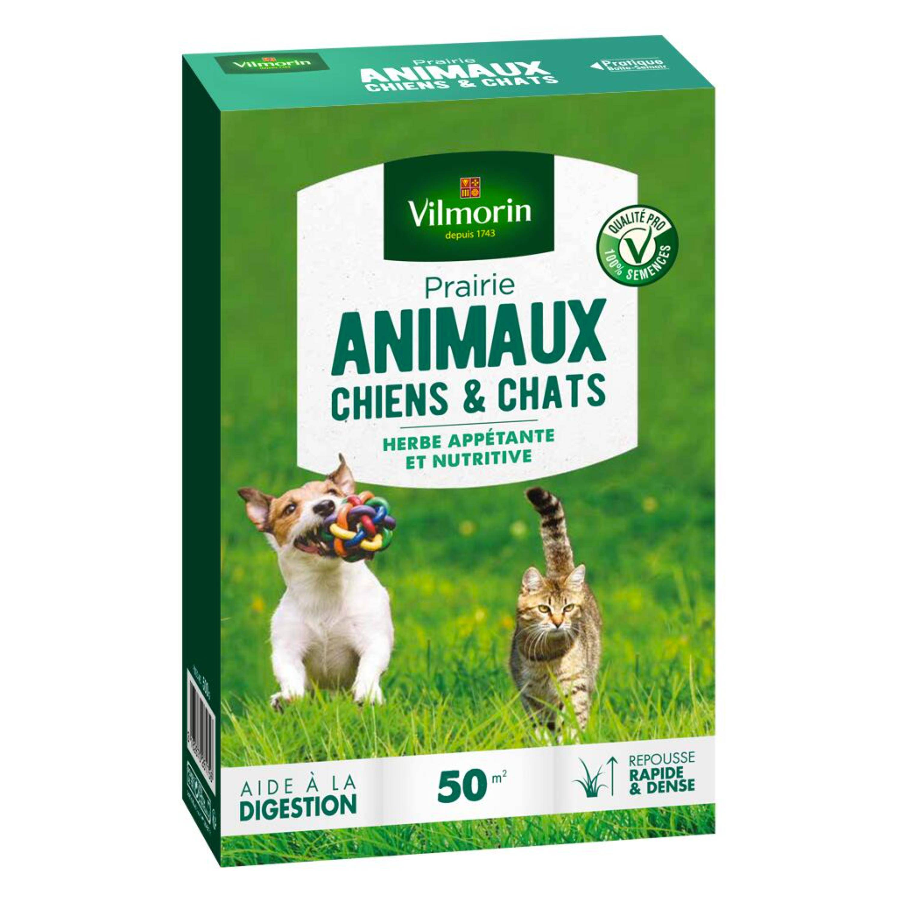 Vilmorin - Prairie Chiens et Chats boite de 500g - Vilmorin - Image 1