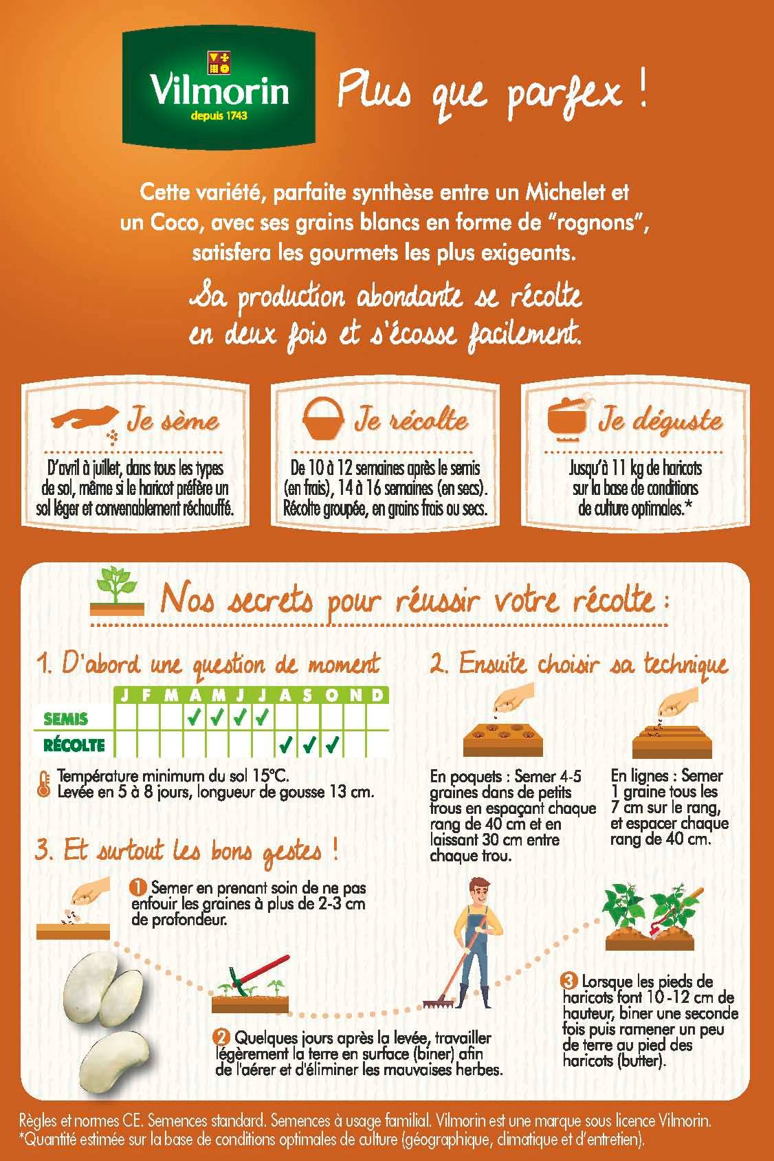 Vilmorin - Haricot Mogex création série 20m sachet graines 159 g - Vilmorin - Image 3