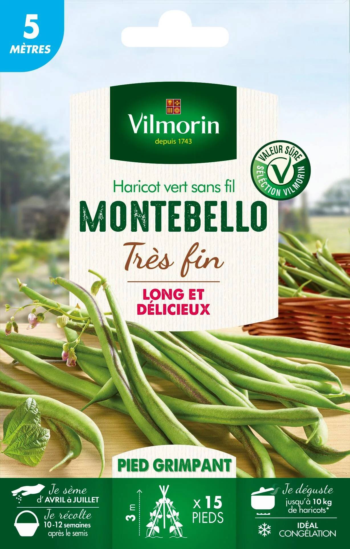 Vilmorin - Haricot à rames Montebello série 5m sachet graines 28 g - Vilmorin - Image 1