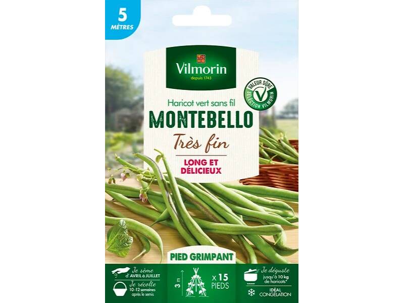 Vilmorin - Haricot à rames Montebello série 5m sachet graines 28 g - Vilmorin - Image 2