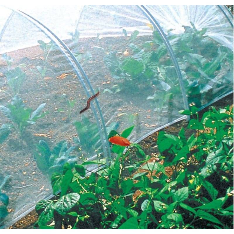 Nortène - BIOCONTROL Filet anti-insectes blanc 3,30x10 m - Image 3