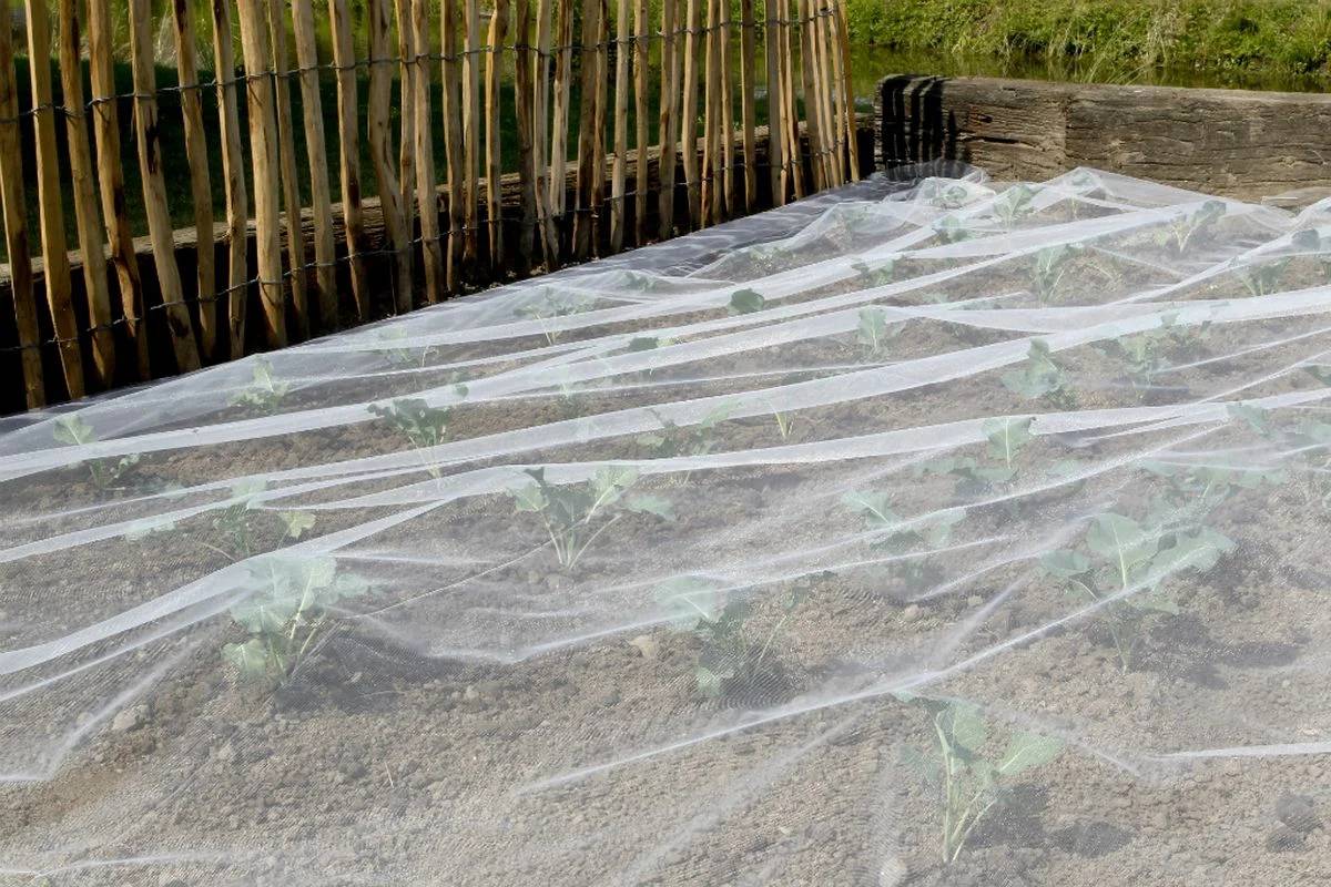 Nortène - BIOCONTROL Filet anti-insectes blanc 3,30x10 m - Image 6