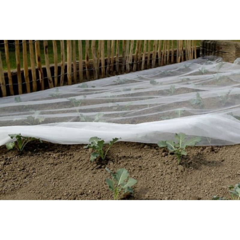 Nortène - BIOCONTROL Filet anti-insectes blanc 3,30x10 m - Image 9