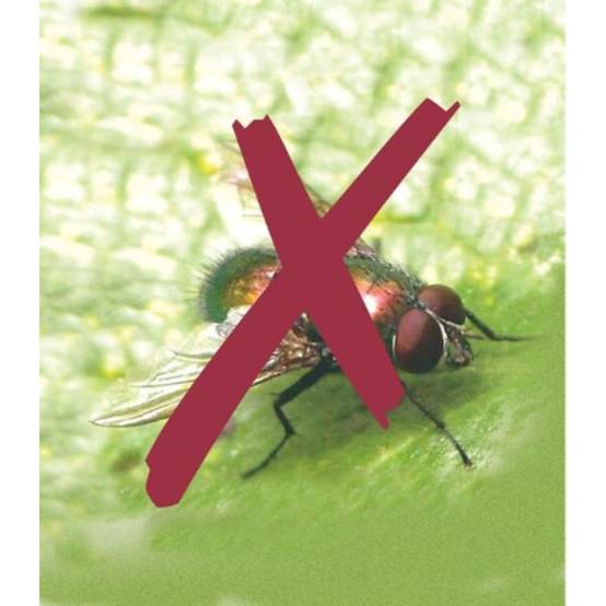 Nortène - BIOCONTROL Filet anti-insectes blanc 3,30x10 m - Image 10