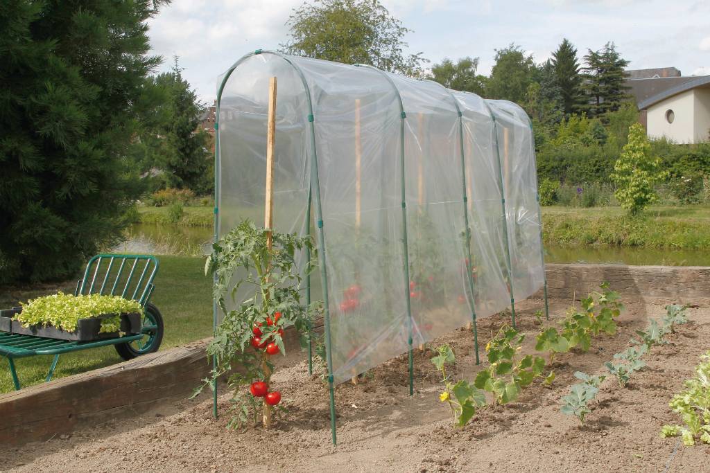 Nortène - Nortène - Film de forçage tunnel tomates L.5 x H.3,50 m - Image 3