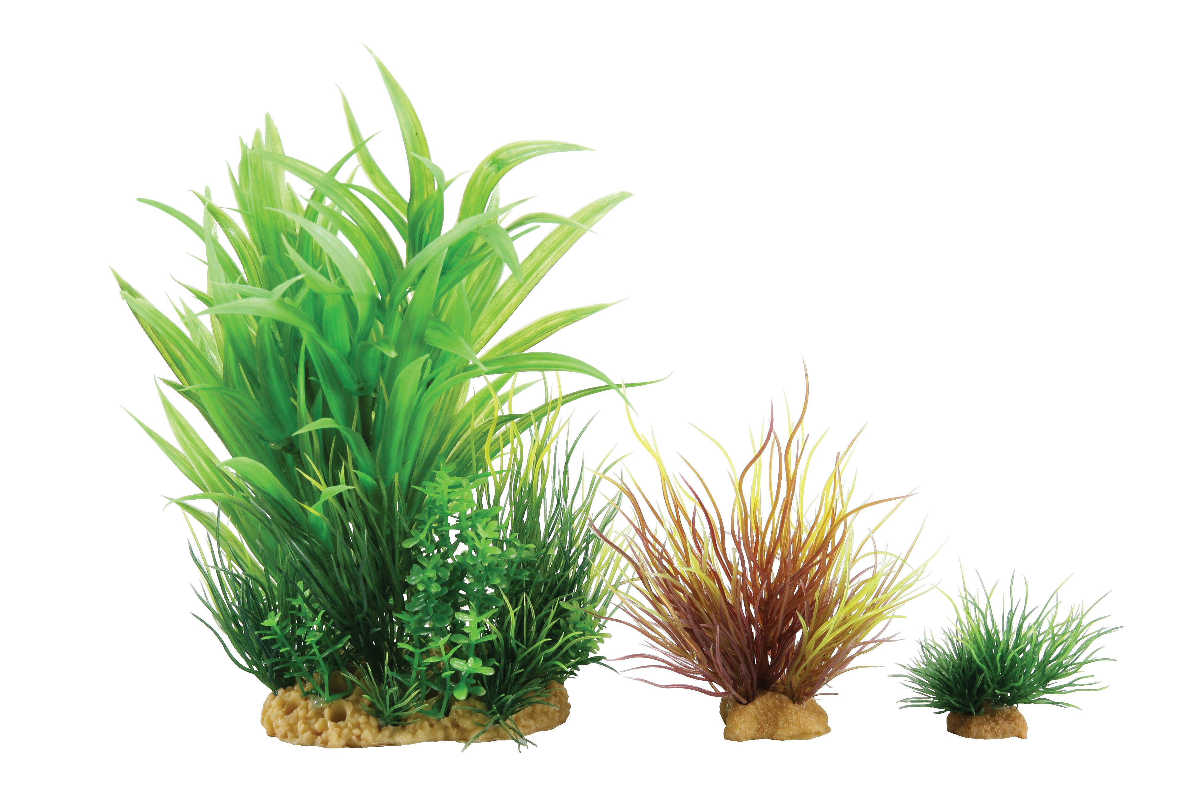Zolux - Kit de Plantes Artificielles - ZOLUX - Image 2