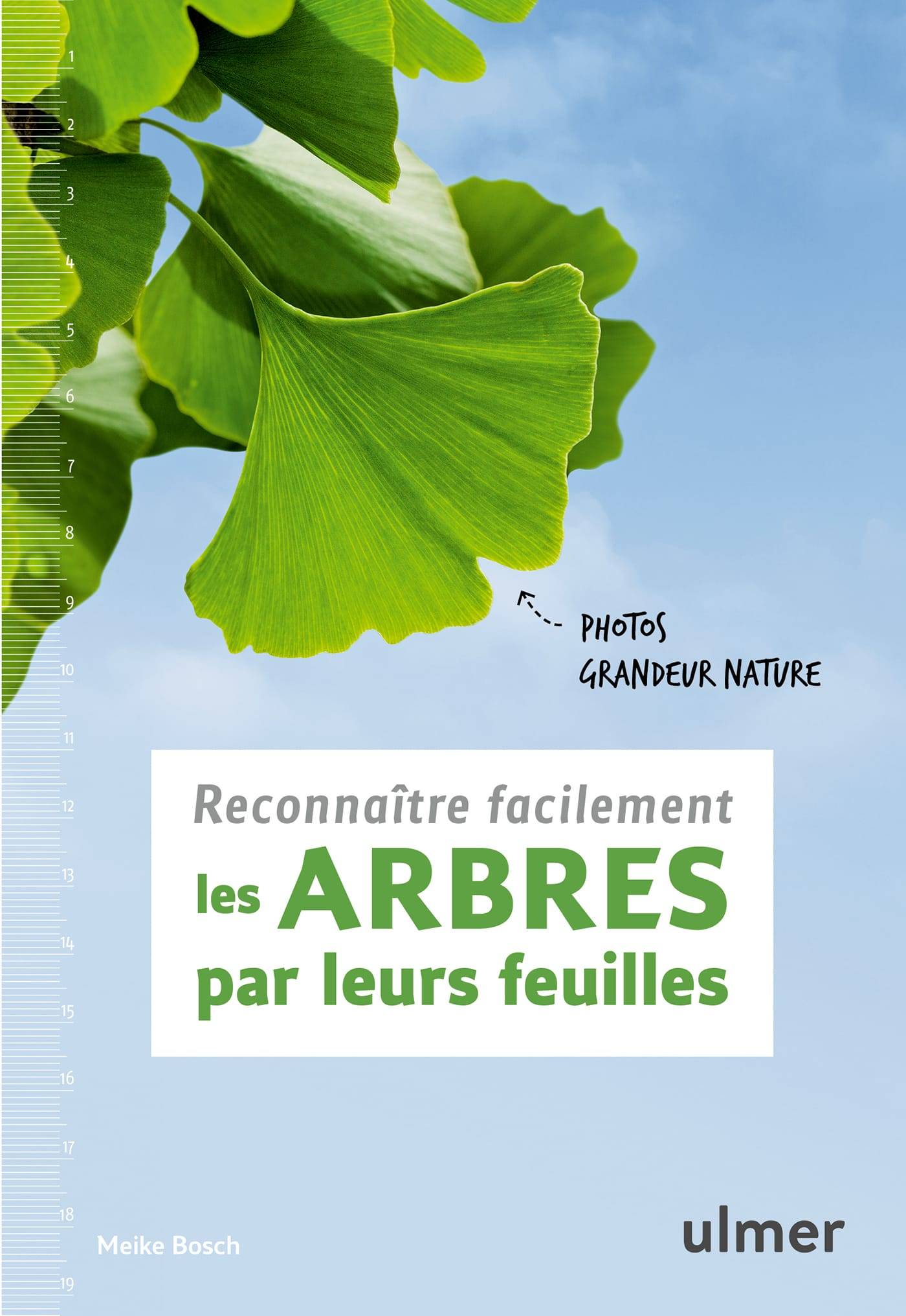 Ulmer - Reconnaître facilement les arbres par leurs feuilles