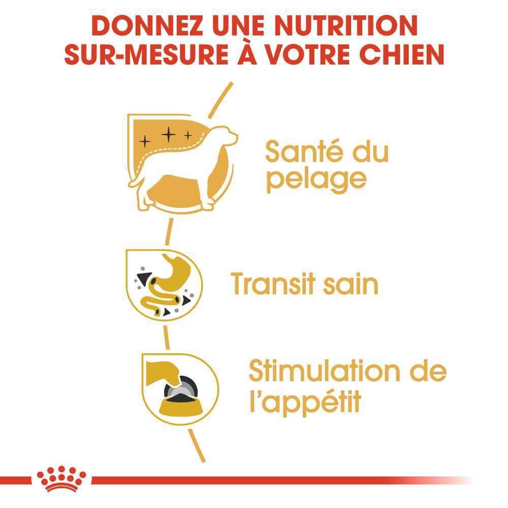 Royal Canin - CHIHUAHUA ADULT 12X85G - Image 10