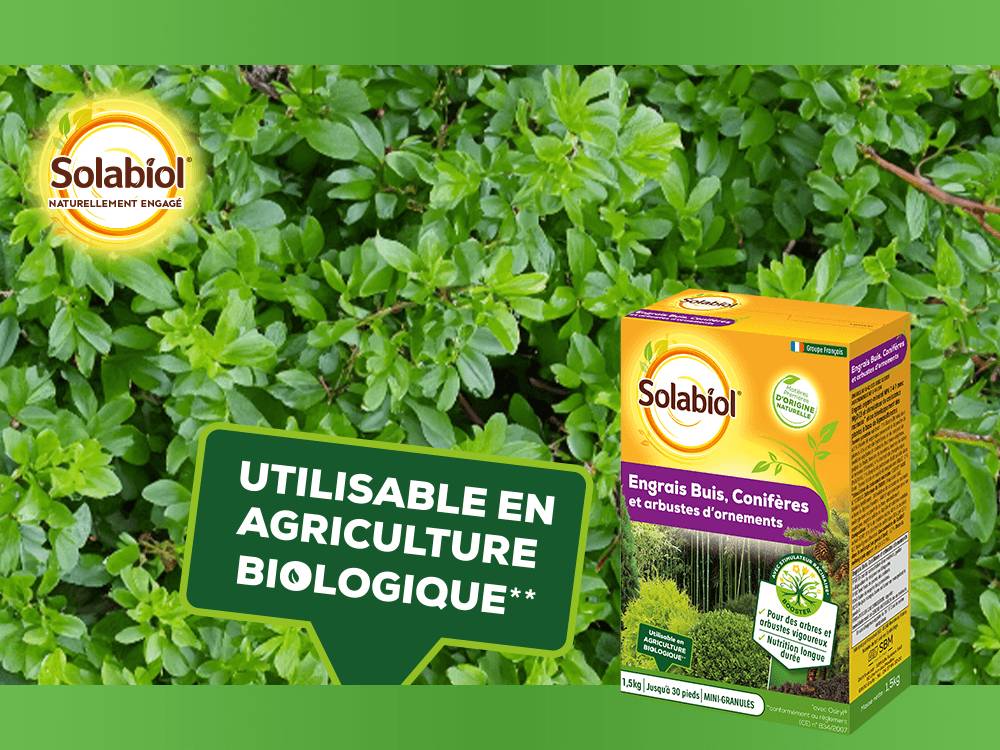 Solabiol - Engrais arbres et arbustes - SOLABIOL - Image 5