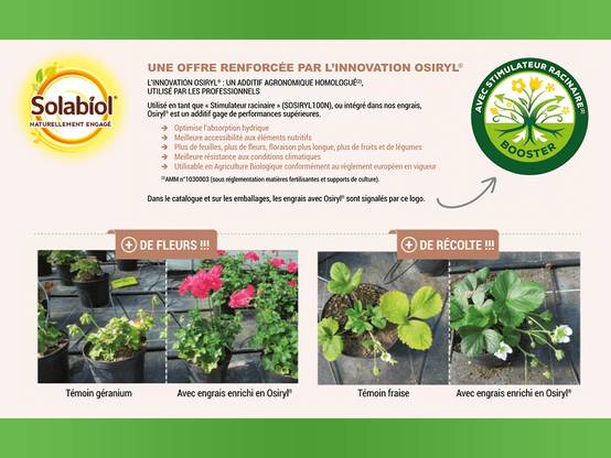 Solabiol - Engrais arbres et arbustes - SOLABIOL - Image 4