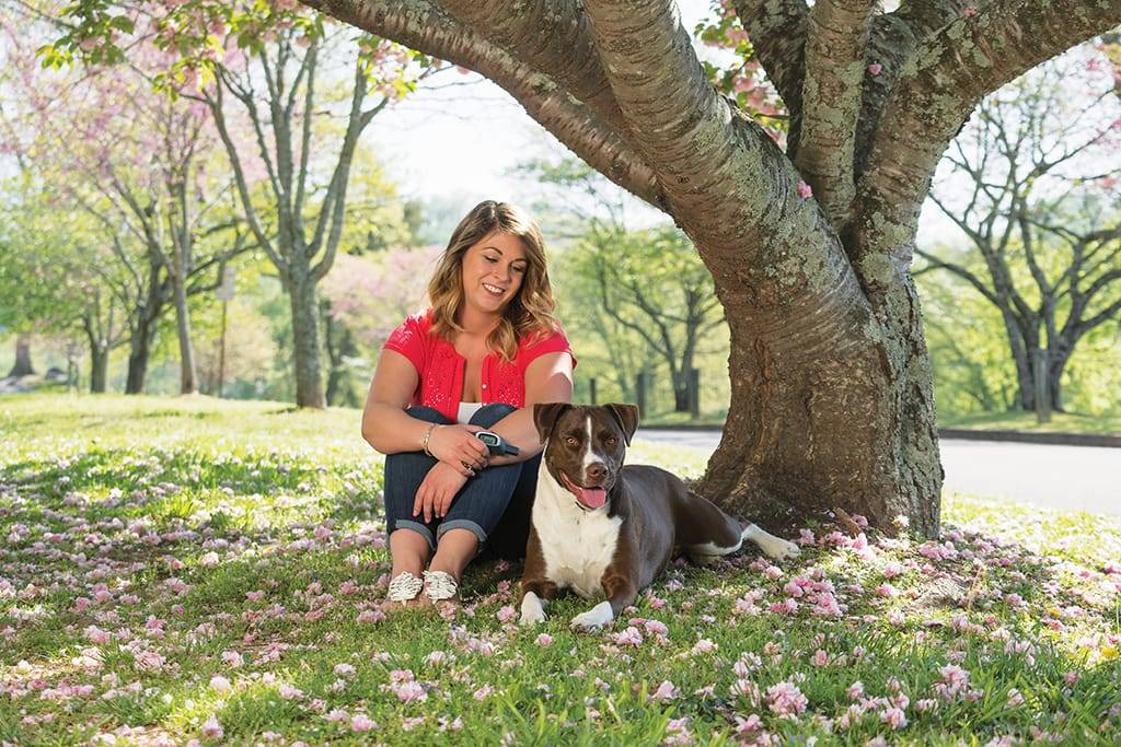 Petsafe - Petsafe - Système d'éducation à stimulation - portée 900 m - Image 2