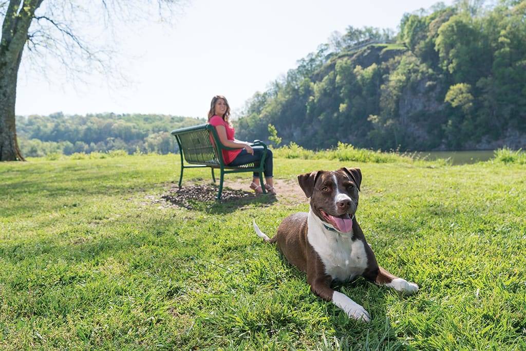 Petsafe - Petsafe - Système d'éducation à stimulation - portée 900 m - Image 10