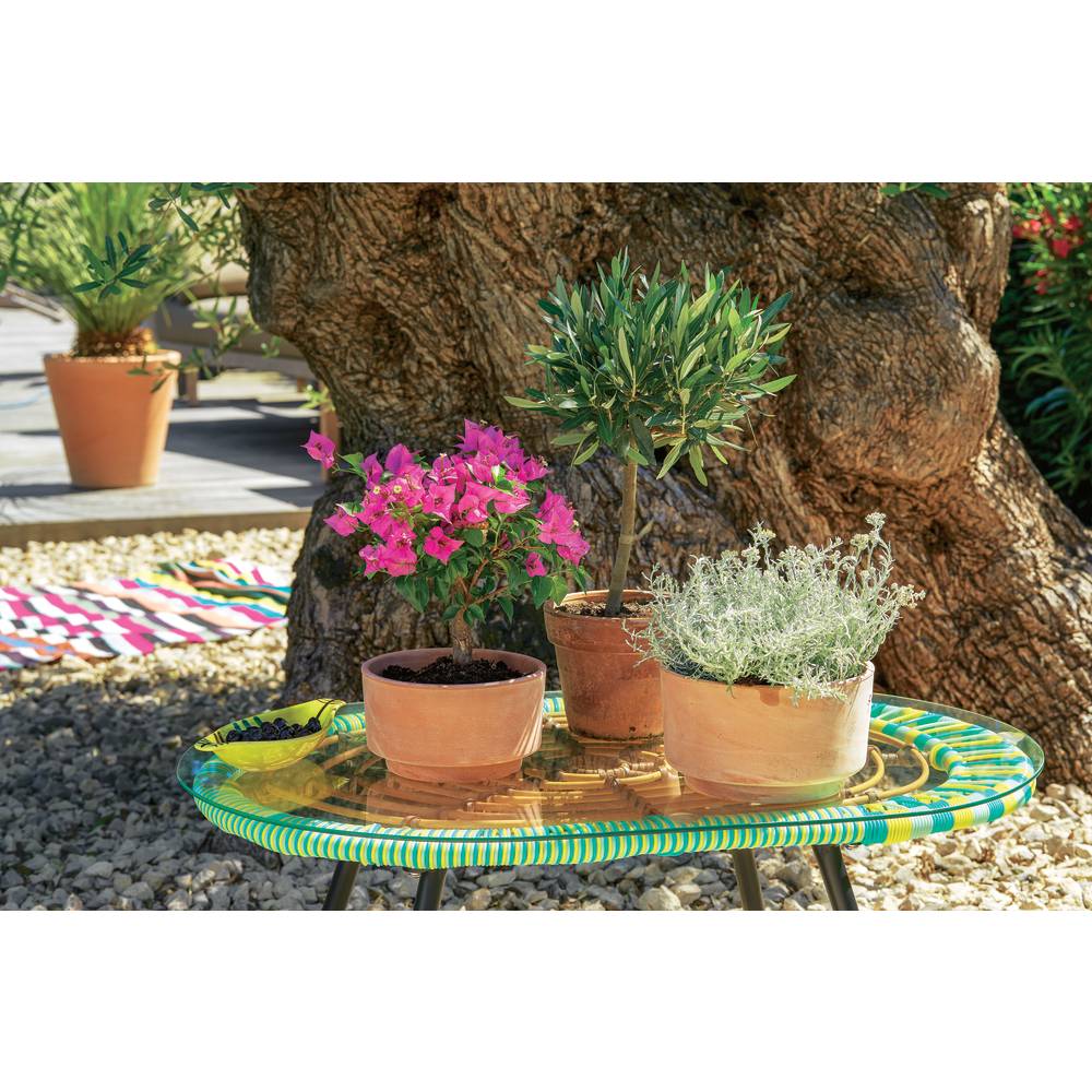 Pot en terre cuite D 18 x H 11 cm - GOICOECHEA - Image 2