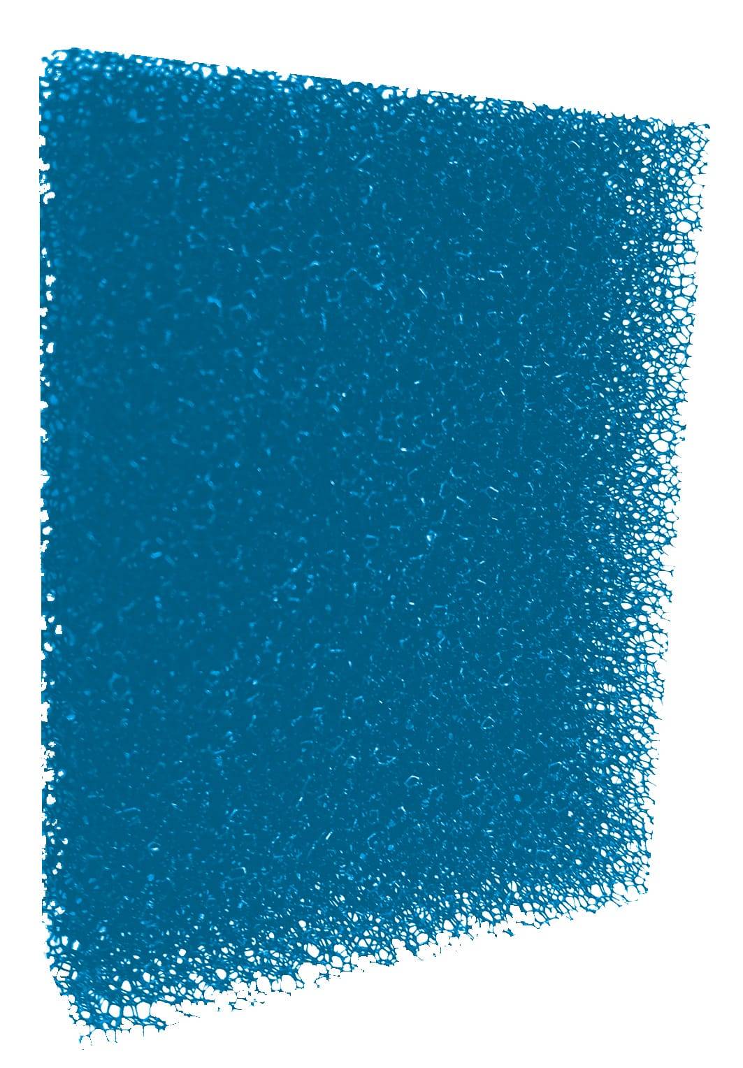 Zolux - Cartouche Mousse Bleue Wiha - ZOLUX - Image 2