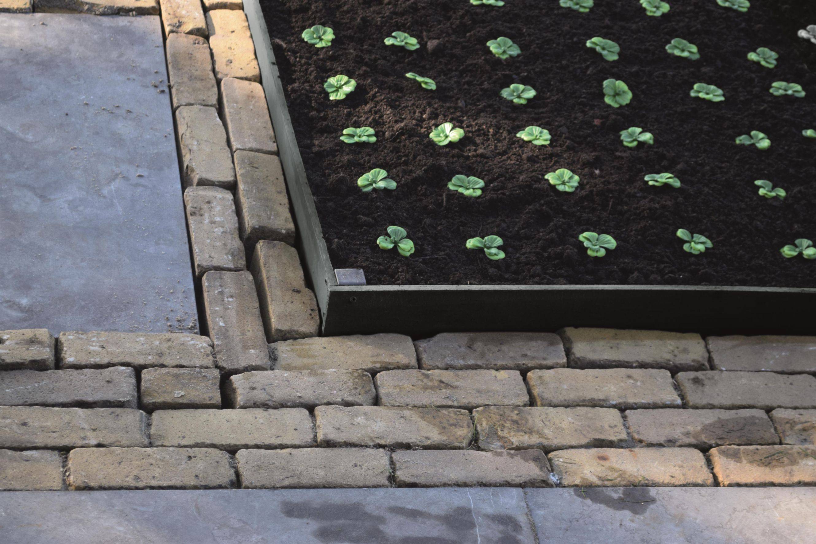 Ubbink - Piquet Bordure PVC Recyclé - NATURE - Image 3