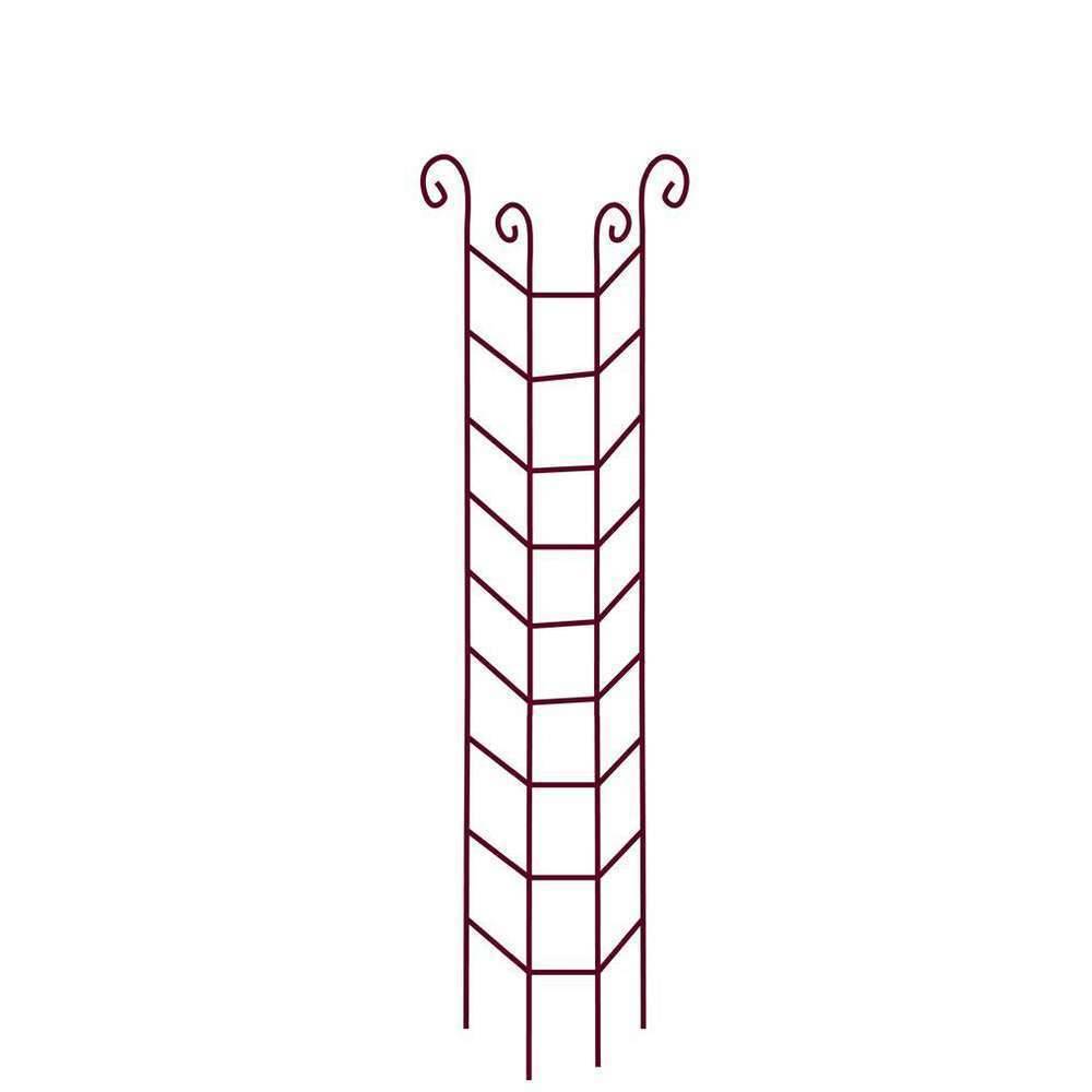 Colonne Grimpante - VITIS IN SITU - Image 3