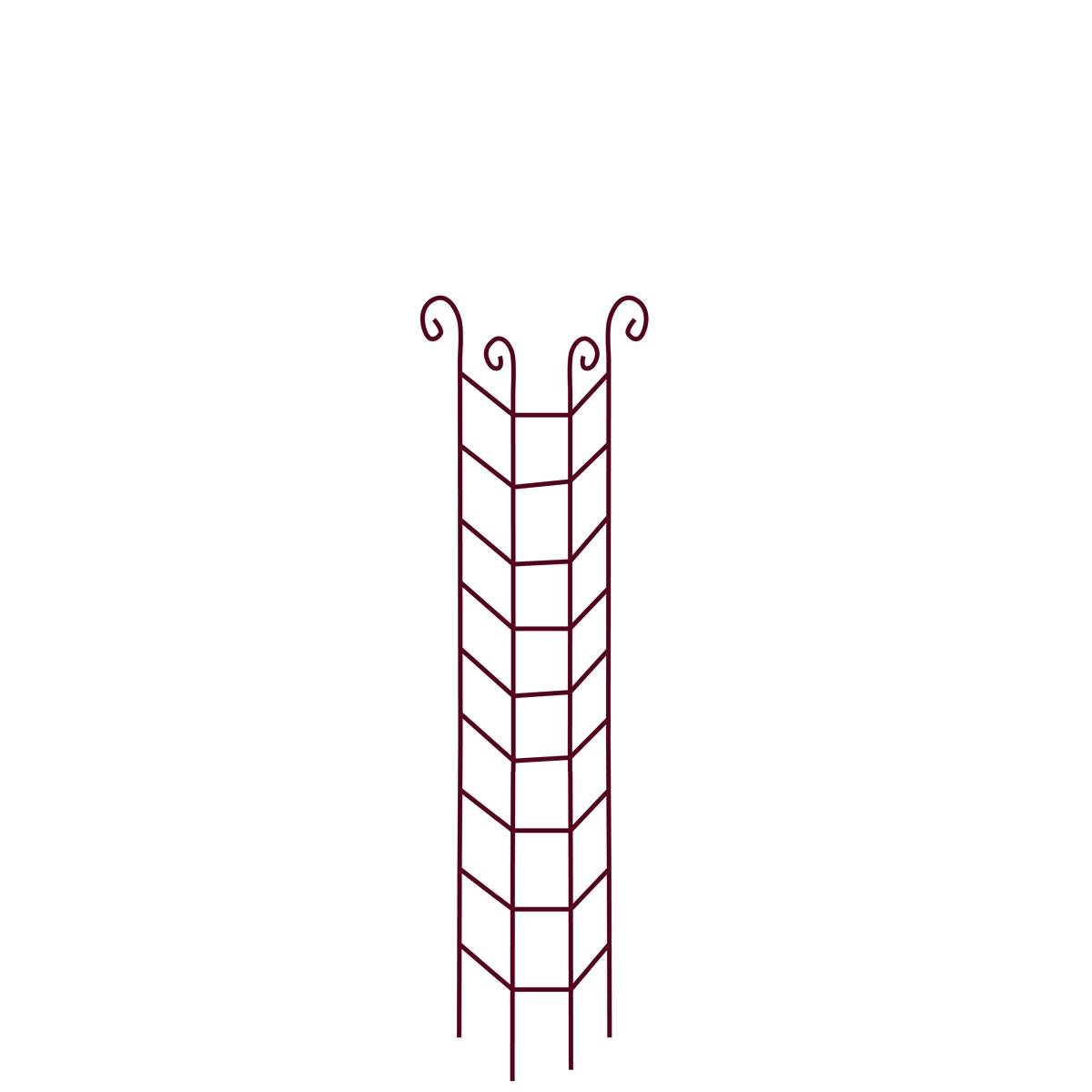 Colonne Grimpante - VITIS IN SITU