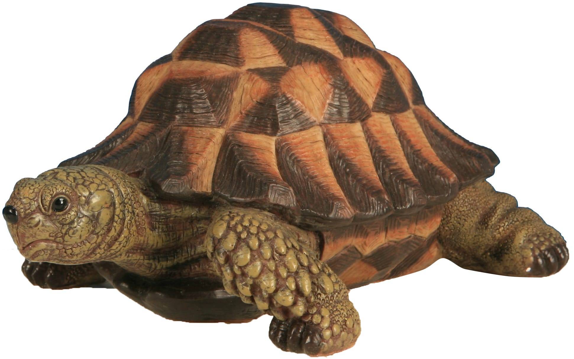 Riviera - Figurine tortue verte petit modèle L17 cm
