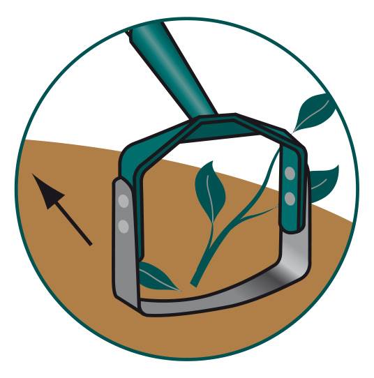 Leborgne - Grattoir Oscillant Naturovert - LEBORGNE - Image 2