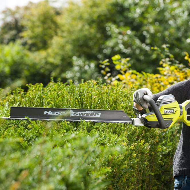 Ryobi - Taille-haies électrique 800W Longueur de lames 65 cm RYOBI - Image 7