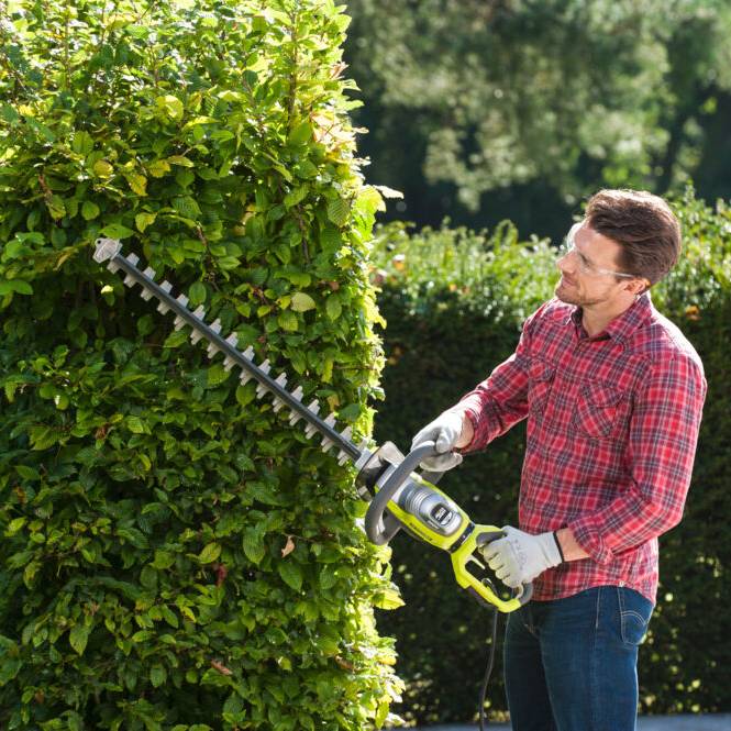 Ryobi - Taille-haies électrique 800W Longueur de lames 65 cm RYOBI - Image 9