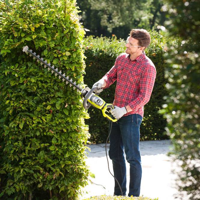 Ryobi - Taille-haies électrique 800W Longueur de lames 65 cm RYOBI - Image 10