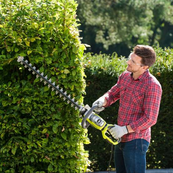 Ryobi - Taille-haies électrique 800W Longueur de lames 65 cm RYOBI - Image 2