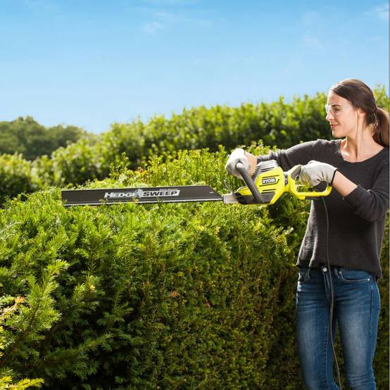 Ryobi - Taille-haies électrique 800W Longueur de lames 65 cm RYOBI - Image 3