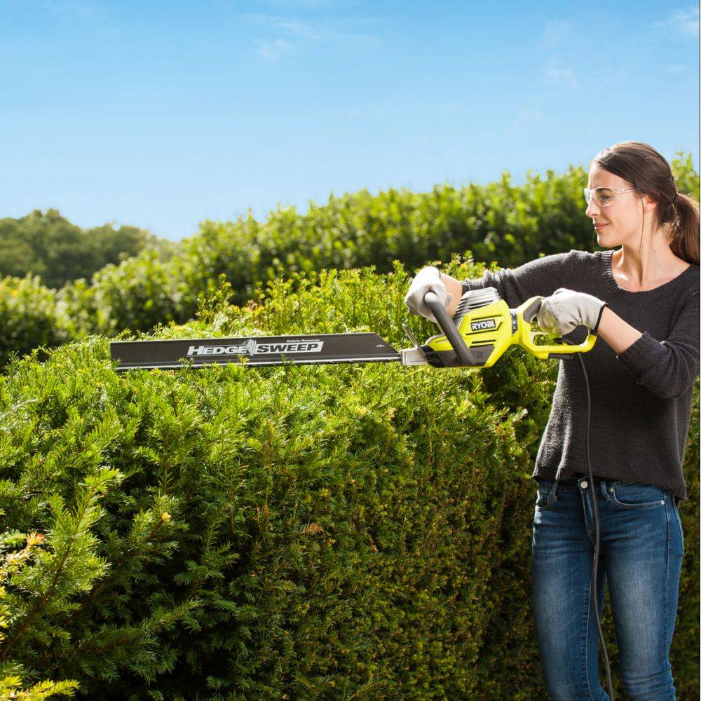 Ryobi - Taille-haies électrique 800W Longueur de lames 65 cm RYOBI - Image 3