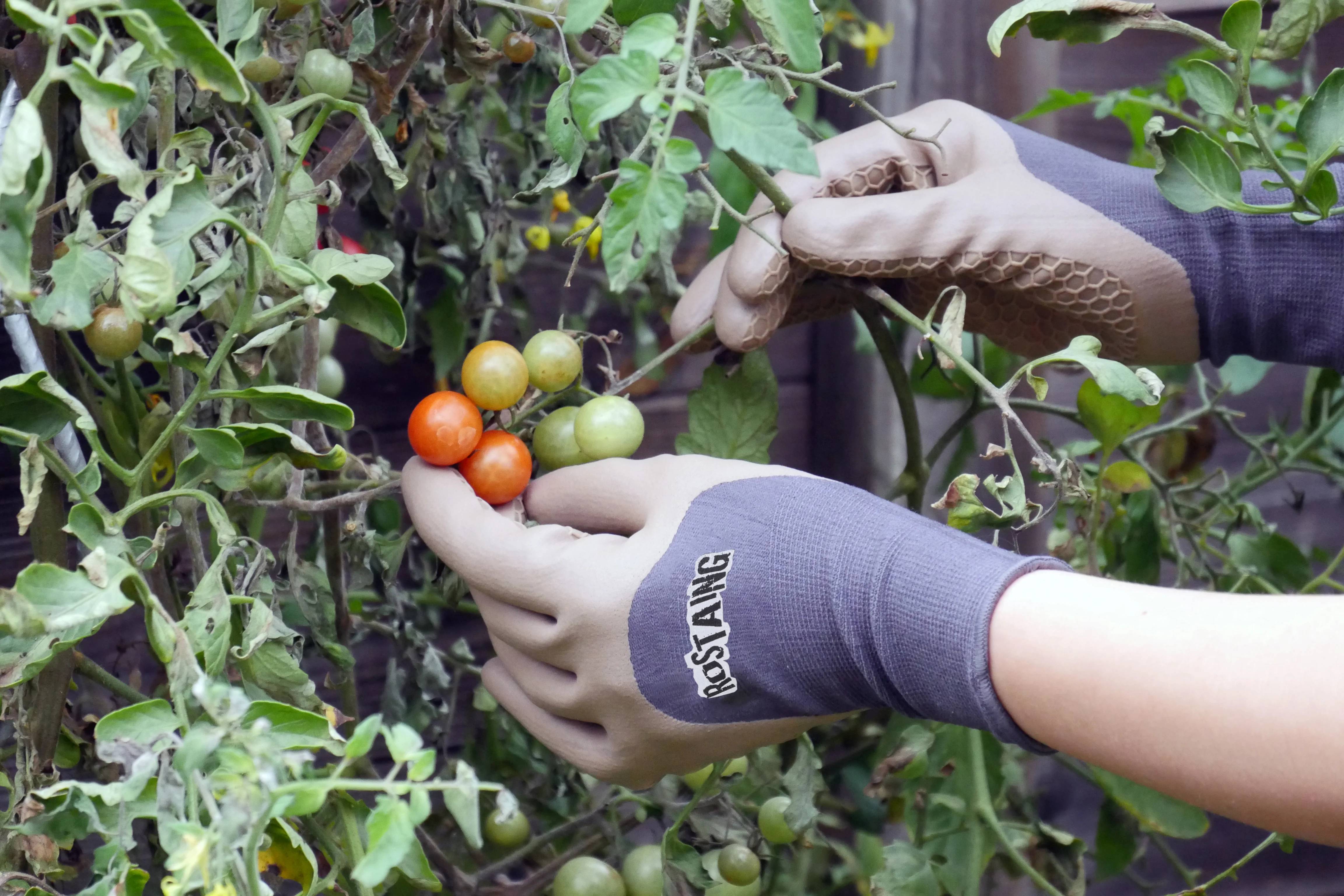 Rostaing - Gant de plantation - ROSTAING - Image 3