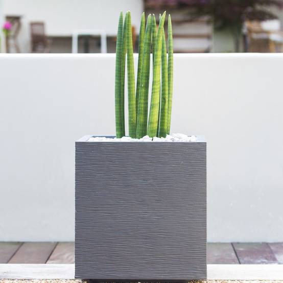 EDA Plastiques - Pot de fleurs carré graphit gris L39.5 x l39.5 x H43.5 cm - Image 5